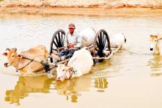 Culture and Nature Khmer Explorer - cambodia-culture-photo.jpg