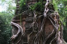 Two Days From Phnom Penh To Siem Reap Road Tours - sambor-prek-kuk-group.JPG