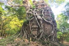Private a day tour - Siem Reap to Phnom Penh - sambor-prekuk-temple.jpg