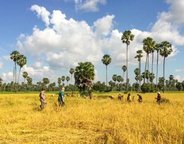 Explore Cambodia along Mekong Trail